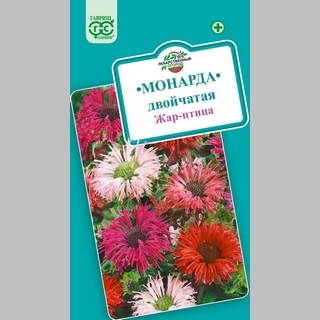 Монарда Жар-птица двойчатая