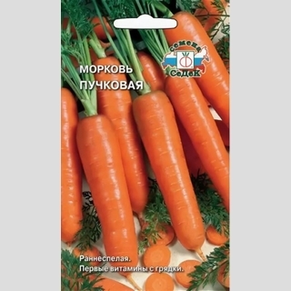 Морковь Пучковая