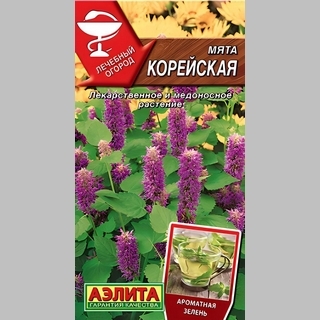 Мята Корейская