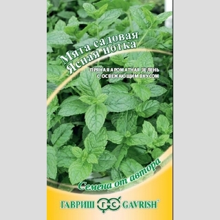 Мята Ясная нотка