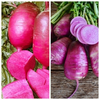 Дайкон Модный цвет F1 смесь