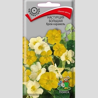 Настурция Крем-карамель большая