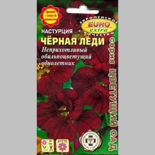 Настурция Черная леди