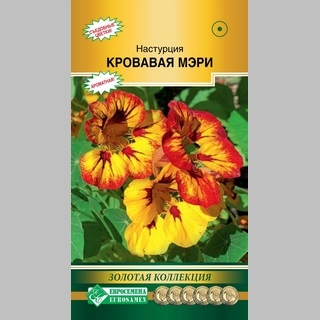Настурция Кровавая Мэри
