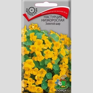 Настурция Золотой шар низкорослая