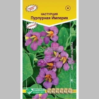 Настурция Пурпурная Империя