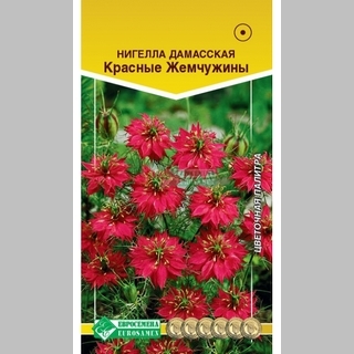 Нигелла Красные жемчужины дамасская