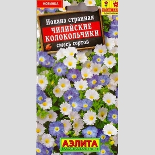 Нолана Чилийские колокольчики