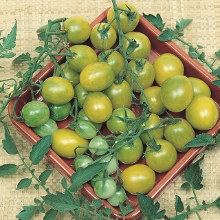 Томат Штурмовик Норман черри (Stormin Norman)