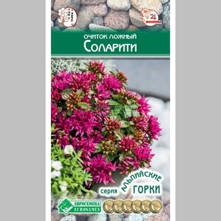 Очиток Соларити ложный