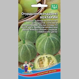 Огурдыня Нектарин (мандурия)