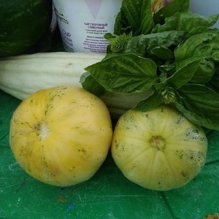 Огурдыня (мандурия) Нектарин