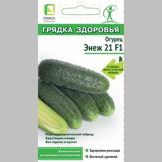 Огурец Энеж 21 F1