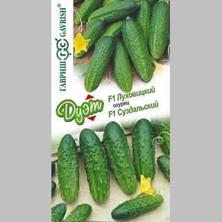 Дуэт Огурец Луховицкий F1 + Суздальский F1