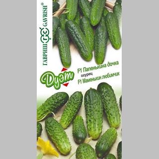 Дуэт Огурец Папенькина дочка F1 +Маменькин любимчик F1