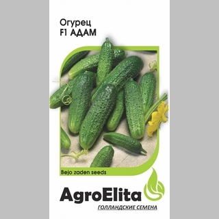 Огурец Адам F1 (Бейо)