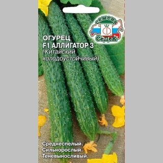 Огурец Аллигатор 3 F1