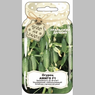 Огурец Амиго F1