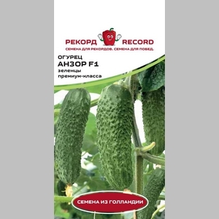 Огурец Анзор F1 (Bejo Zaden)