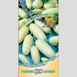Огурец Белый ангел F1