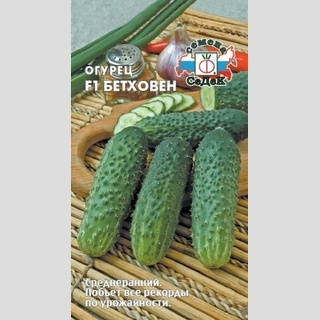 Огурец Бетховен F1