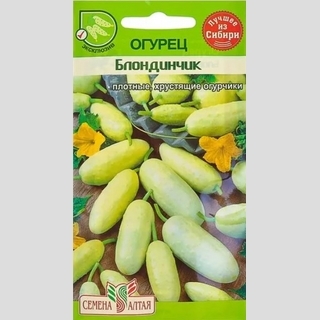 Огурец Блондинчик