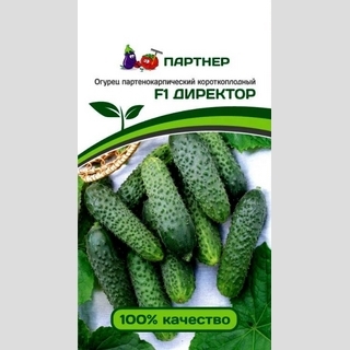 Огурец Директор F1