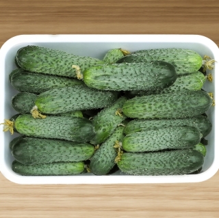 Огурец Доллар F1