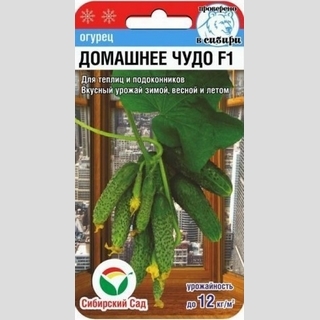 Огурец Домашнее чудо F1