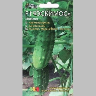 Огурец Эскимос F1