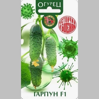 Огурец Гарпун F1