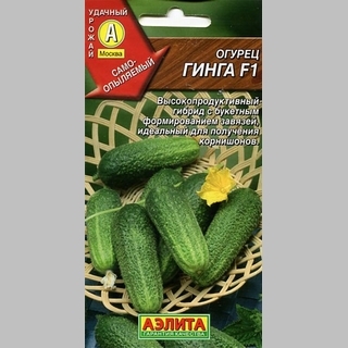 Огурец Гинга F1
