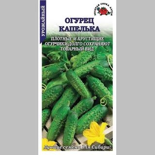 Огурец Капелька