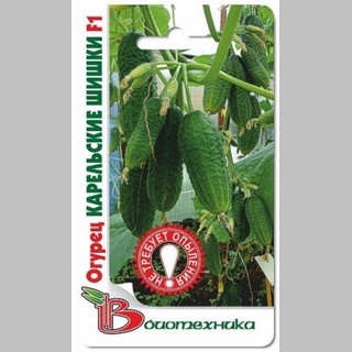 Огурец Карельские Шишки F1