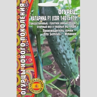 Огурец Катарина F1 (COR 14015 F1) (большой пакет)