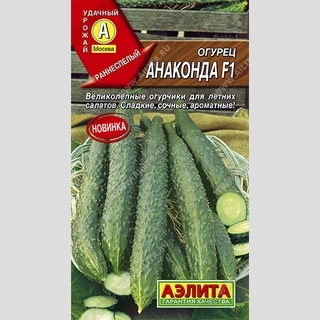 Огурец Анаконда F1