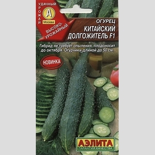 Огурец Китайский долгожитель F1