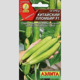 Огурец Китайский пломбир F1