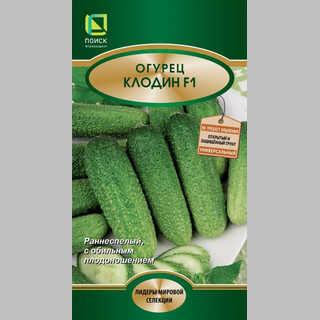 Огурец Клодин F1