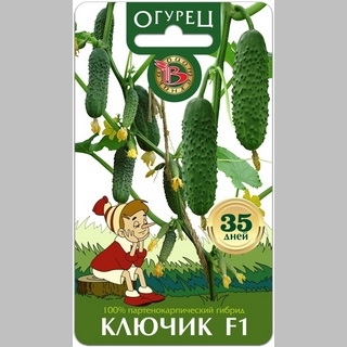 Огурец Ключик F1