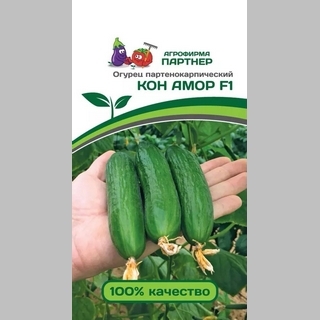 Огурец Кон Амор F1