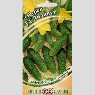 Огурец Лилипут F1