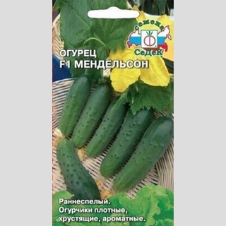 Огурец Мендельсон F1
