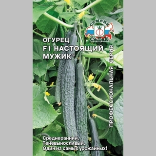 Огурец Настоящий Мужик F1