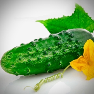 Огурец Охтинский F1