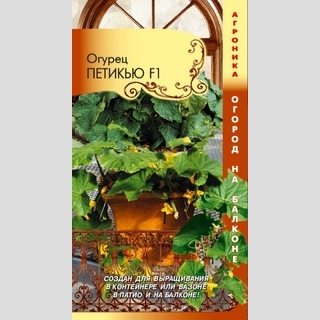 Огурец Петикью F1 (Огород на балконе)