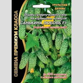Огурец Санькина любовь®F1 (большой пакет)