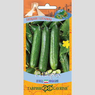 Огурец Шираз F1