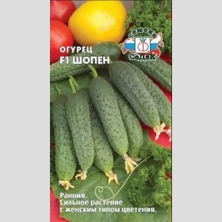 Огурец Шопен F1