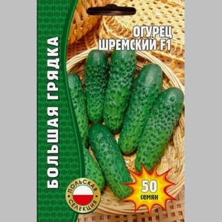 Огурец Шремский F1 (большой пакет)